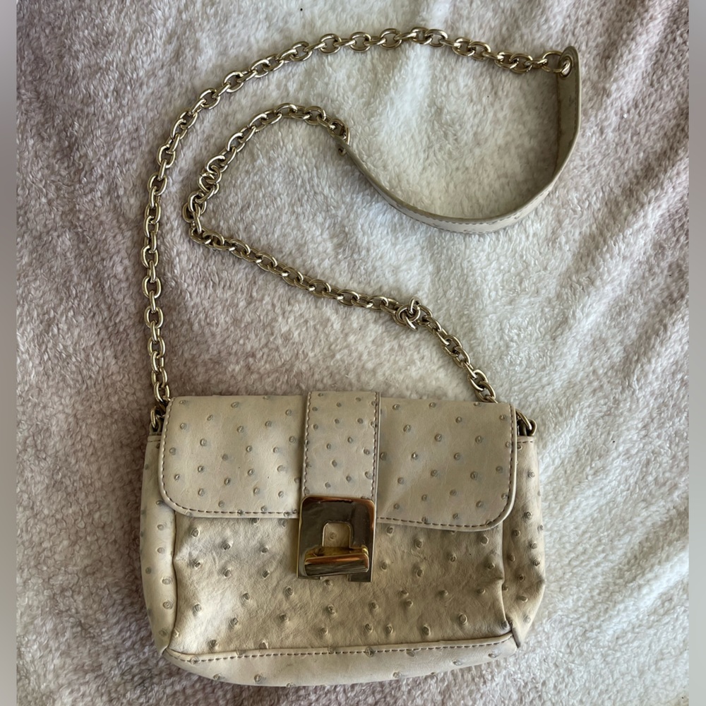 Chicos Purse
